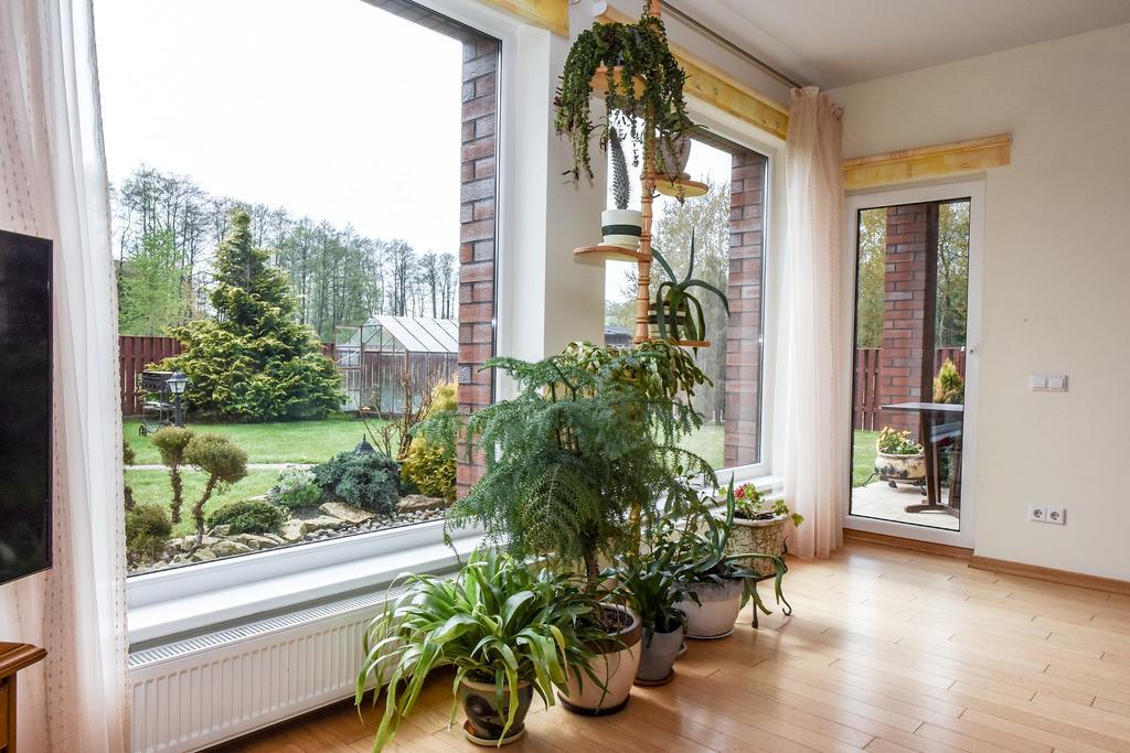 Apartamentai Pluke Palanga Luaran gambar